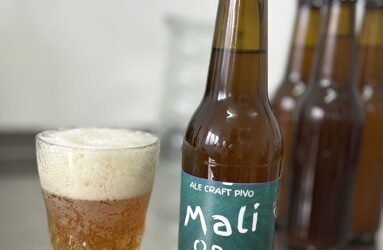 Srednjoškolski lager: Kušali smo pivo koje u sklopu nastave proizvode učenici u Štafiliću