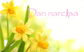 Dan narcisa