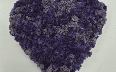 Blagdan Svih svetih i Dušni dan