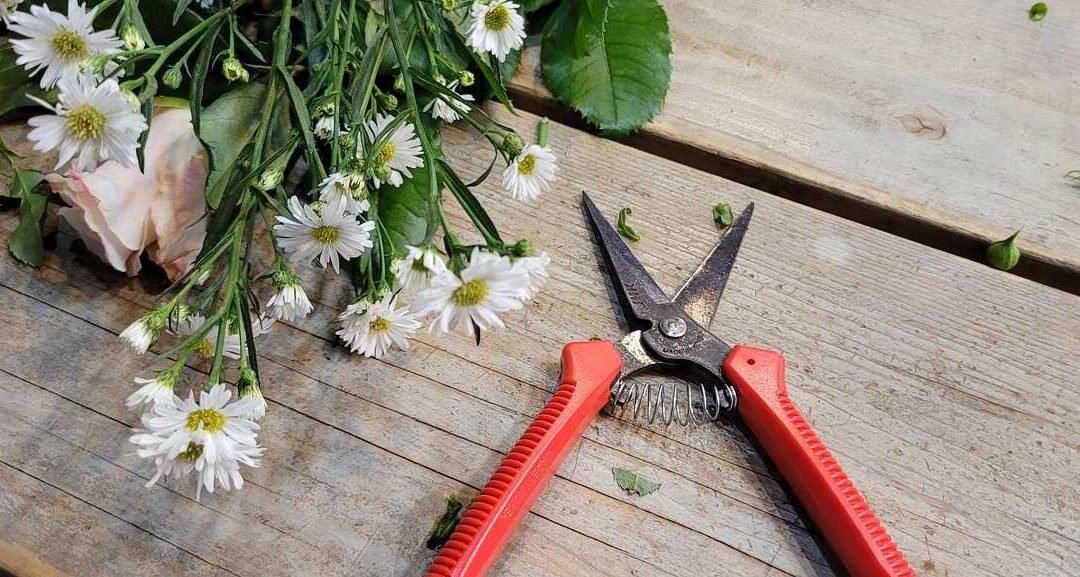 Školsko natjecanje u disciplini Cvjećarstvo