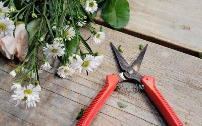 Školsko natjecanje u disciplini Cvjećarstvo