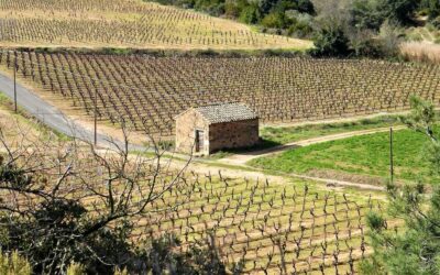 Školsko natjecanje u disciplini Agro